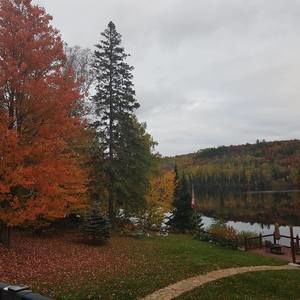 Meet your Posher, Joanne